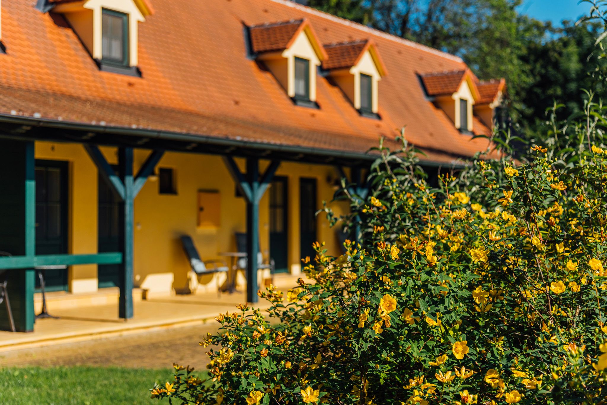 Ubytování v Lednici